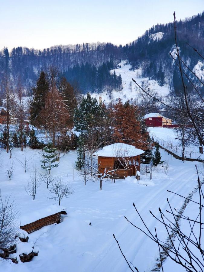 На Галіції Villa Beloberezka ภายนอก รูปภาพ