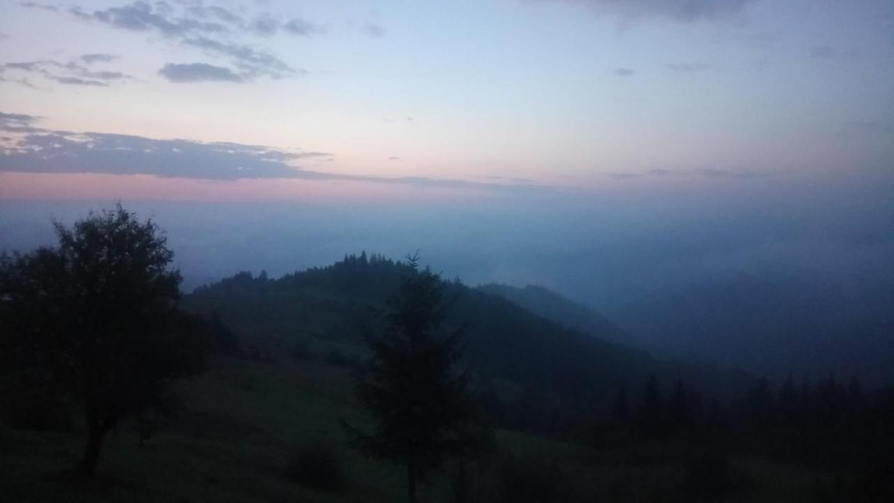 На Галіції Villa Beloberezka ภายนอก รูปภาพ